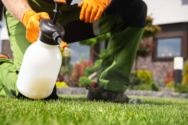 Best Mosquito Control Services  in Moorestown Lenola, NJ