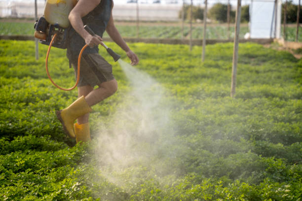 Best Pest Prevention Services  in Moorestown Lenola, NJ