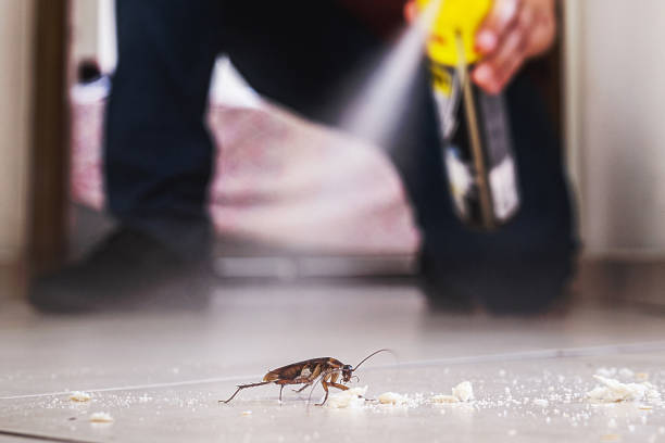 Best Wasp Removal Services  in Moorestown Lenola, NJ