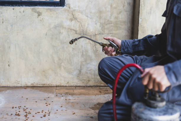 Best Rat Extermination Near Me  in Moorestown Lenola, NJ
